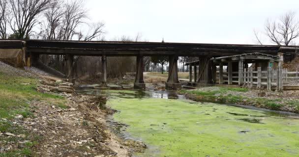 Este Video Bear Creek Keller Texas Arroyo Fluye Bajo Puente — Vídeo de stock