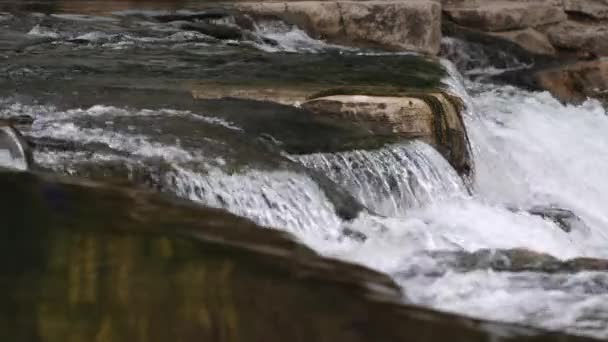 Colpi Rapide Nel Fiume San Marcos Una Lunga Lente — Video Stock