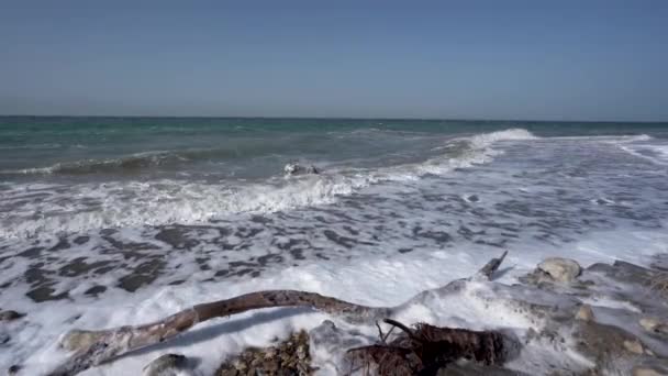 Wellen Die Einem Sonnigen Tag Das Ufer Des Toten Meeres — Stockvideo