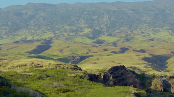 Vedere Aeriană Insulei Hawaii Maui Peisajul Luxuriant Rostogolitor Dealului Verde — Videoclip de stoc