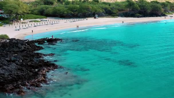 Video Droni Catturati Hapuna Beach Hawaii Una Coppia Che Passeggia — Video Stock