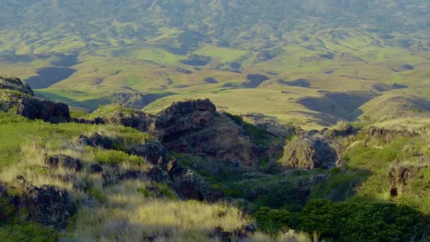 Légi Kilátás Hawaii Sziget Maui Sziklák Buja Gördülő Zöld Dombos — Stock videók