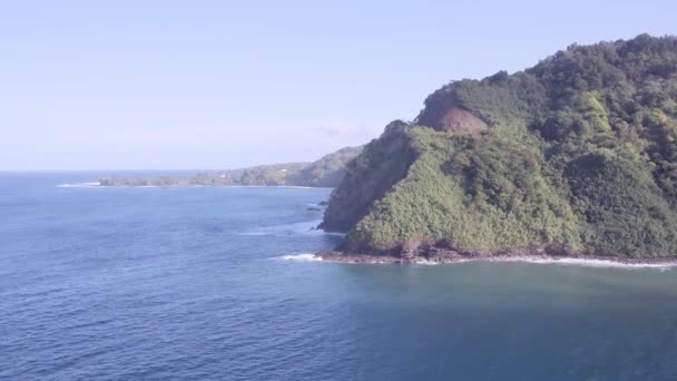 Vue Aérienne Île Hawaïenne Maui Ses Falaises Couvertes Jungle Révélant — Video