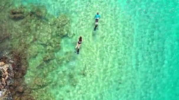 Drönarbilder Man Och Kvinna Som Snorklar Utanför Hawaiis Kust — Stockvideo