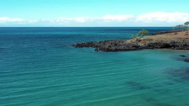 Imágenes Dron Una Costa Rocosa Gran Isla Hawai — Vídeos de Stock