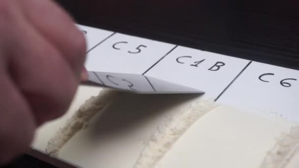 品質試験の一貫性と色を確認するために小麦粉を平滑化するラボ技術のクローズアップ — ストック動画
