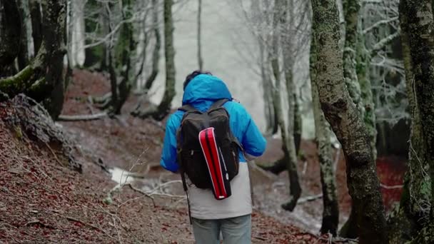 在白桦树间 徒步旅行者走在泥泞的小径上 白天是在比利牛斯山脉的森林里 — 图库视频影像