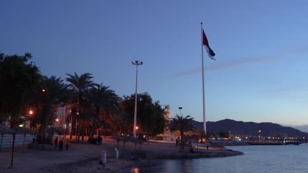 Flag Jordan Sandy Beach Waves Wind City Aqaba Background Palms — Stock video