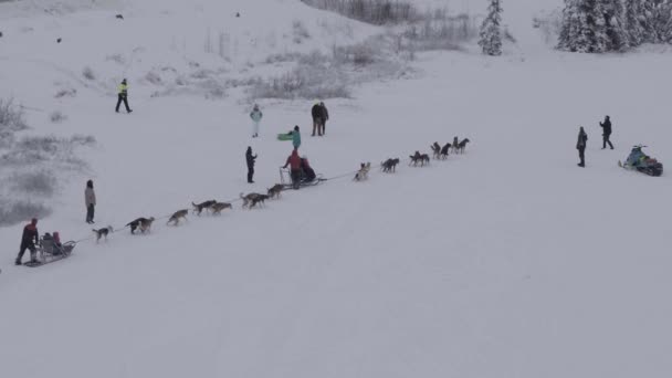 Förankring Hundspann Lag Förbereder Sig Kall Vinterdag Slow Motion Antenn — Stockvideo
