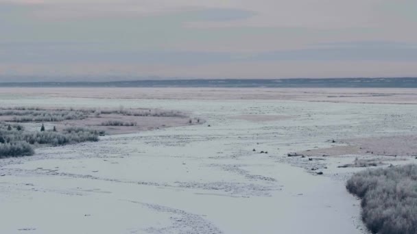 Üres Fagyasztott Tundrát Anchorage Ból Alaszkából Széles Kilátás Hideg Téli — Stock videók