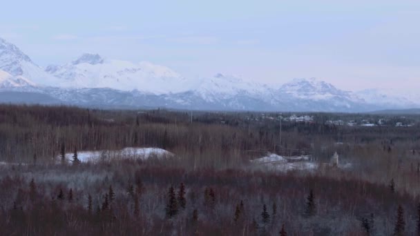 アンカレッジ 冬の森の上にパンアラスカの雪の山をかぶった — ストック動画