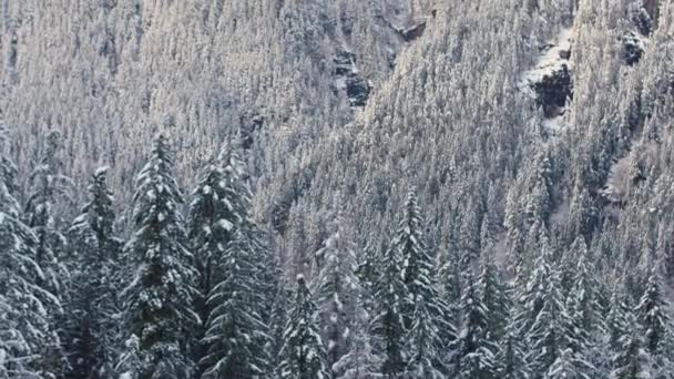 Frozen Forest Alaska Aerial Reveal Sunrise Mountain Breathtaking Winter Landscape — Stock Video