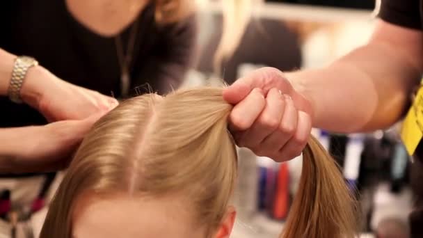 Professional Hairstylist Blow Drying Combing Model Hair Backstage Fashion Show — Αρχείο Βίντεο