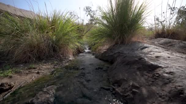 Close Shot Hot Water Mountain Stream Runs Downhill Dead Sea — Stock video