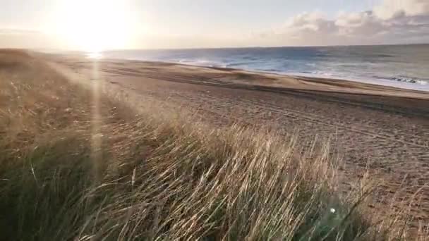 Plaża Morze Północne Zwolnione Tempo — Wideo stockowe