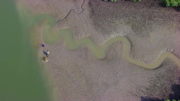 Anak Laki Laki Memancing Air Berpasir Dan Berlumpur Daerah Hutan — Stok Video