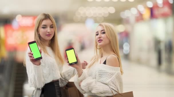 Two Girls Shopping Center Well Groomed Have Blonde Hair Girl — Stock Video
