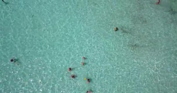 Riprese Aeree Persone Che Fanno Bagno Una Spiaggia Sabbia Poco — Video Stock