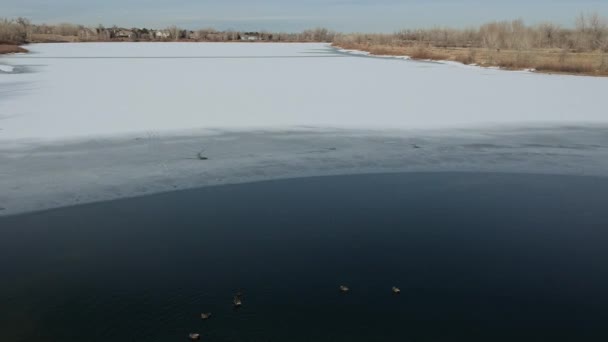 Flight Frozen Lake — Stok video