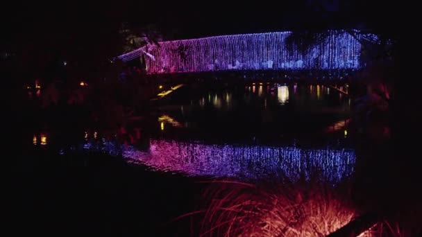 Archway Bridge Light New Plymouth Festival Lights 2019 — Stockvideo
