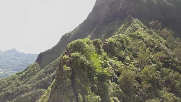 Infamous Chimney Section Pali Notches Trail — Stock Video