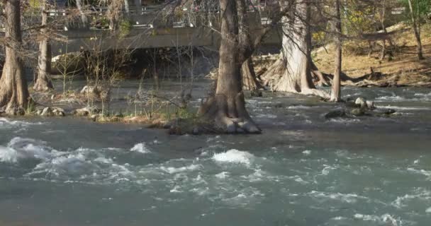 Shot Guadalupe River Central Texas — 비디오