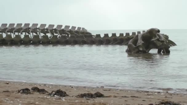 Prehistoric Looking Skeletal Frame Bones Structure Partly Emerged Water Quiet — Wideo stockowe