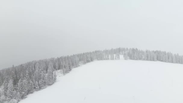 Para Frente Sobre Paisagem Coberta Neve Com Floresta Neve Voando — Vídeo de Stock
