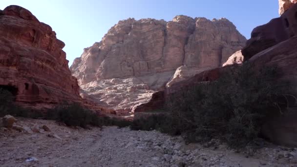 Wandelen Canyon Een Rotsachtige Weg Naar Berghelling Oude Stad Petra — Stockvideo