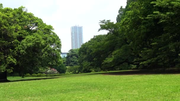 Immer Noch Blick Des Wolkenkratzers Mit Baum — Stockvideo