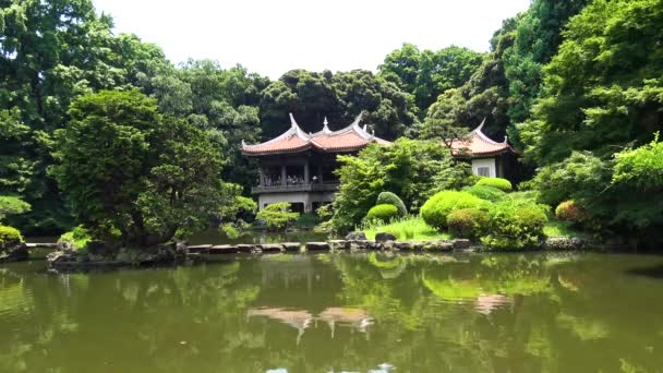 Tapınak Gölü Manzarası — Stok video