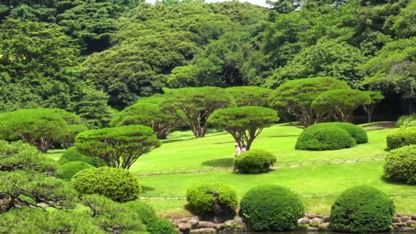 Pohled Chodící Pár Shinjuku Gyoen Národní Zahradě — Stock video