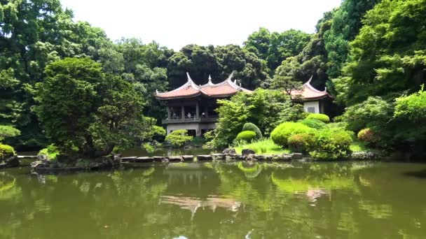 湖畔の神社の風景 — ストック動画