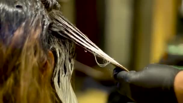 Professional Hairstylist Giving Model Hair Treatment — стоковое видео