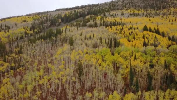 Grand Mesa Looking Out Grand Valley Colorado Fall Colors Aspens — Stok video