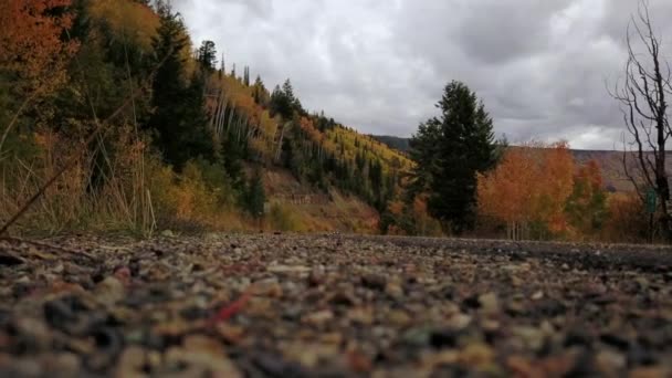 Ground Level Side Road Fall Colors Car Approaches Headlights — Stok video