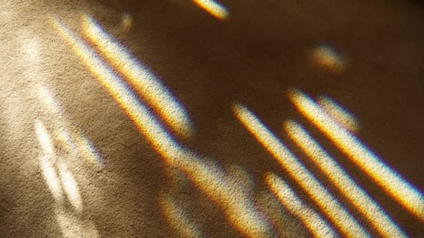 Sunlight Refracted Cut Glass Moves Carpeted Floor Time Lapsed Motion — Stock videók