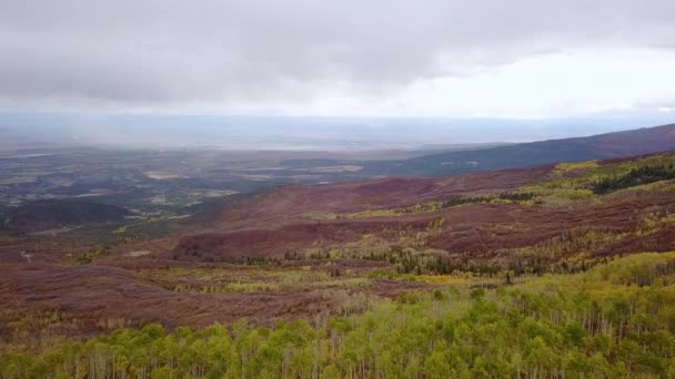 Flying Backwards Valley Fall Colors Aspens — стоковое видео