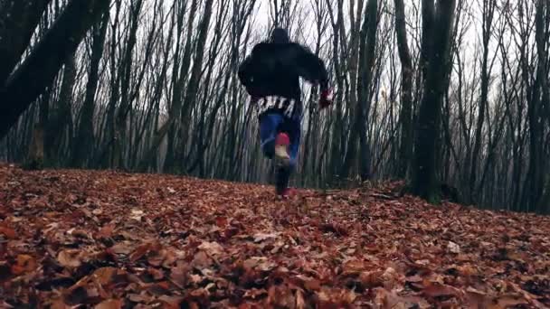 Niedriger Winkel Blick Auf Den Waldboden Mit Roten Und Braunen — Stockvideo