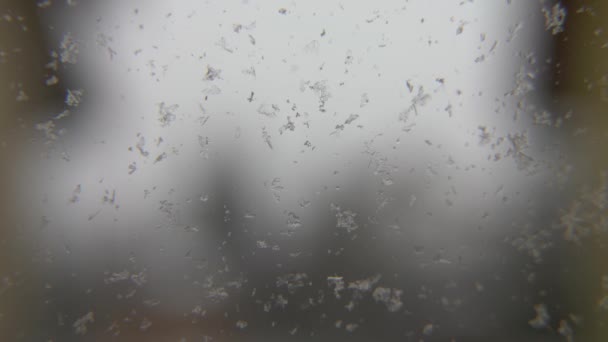Χιόνι Στο Παράθυρο Closeup Μακροεντολή — Αρχείο Βίντεο