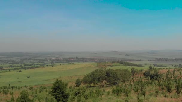 非洲农村地区甘蔗田的空中拍摄 — 图库视频影像