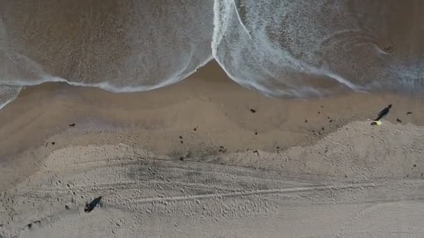 Полуденная Камера Сбила Беспилотник Побережья Редондо Бич Калифорния Съемка Дрона — стоковое видео