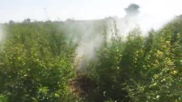 Agricultural Tractor Crop Sprayer Spraying Pesticides Green Gram Plants India — Vídeo de Stock