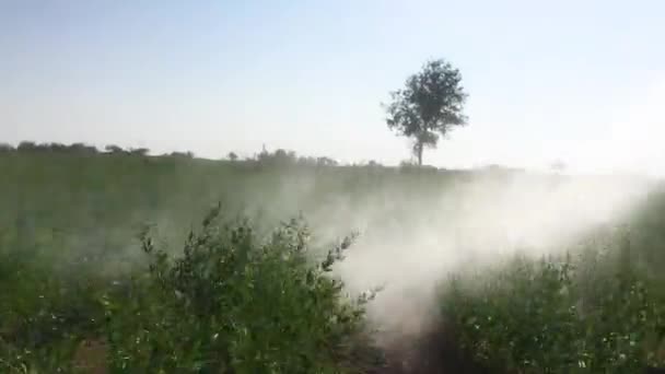 Agricultural Tractor Crop Sprayer Spraying Pesticides Green Gram Plants India — Vídeo de Stock