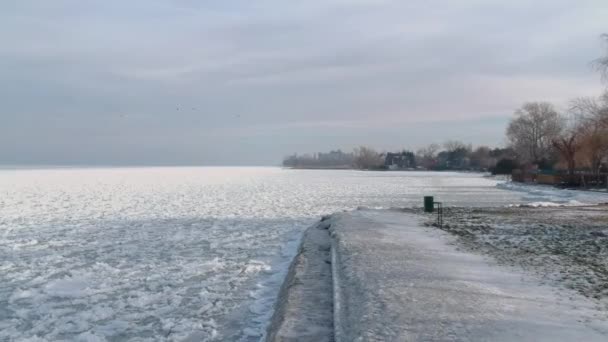 Drönarbilder Vid Sjön Balaton Ungern Vintern Fryst Sjö Och Fåglar — Stockvideo
