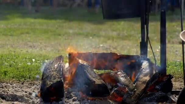 Fuego Cocina Cerdo Picnic Aire Libre — Vídeo de stock