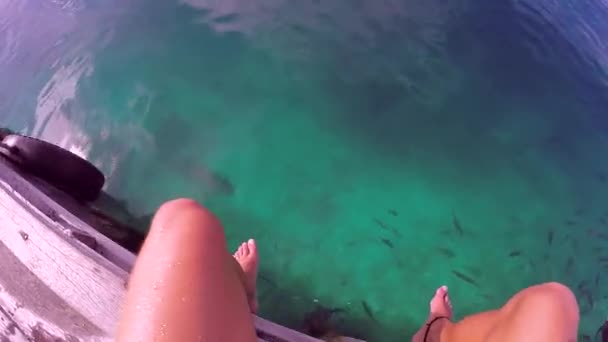 Pov Alguien Viendo Tiburón Nadando Bajo Sus Pies — Vídeo de stock