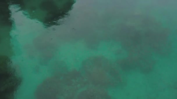 Barco Través Una Laguna Con Agua Verde Acantilados Piedra Caliza — Vídeo de stock