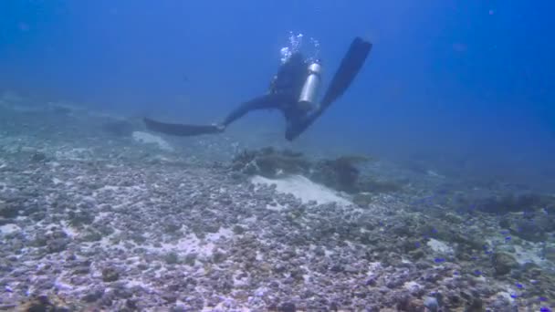 在洋流中在海底漂流的潜水员 — 图库视频影像