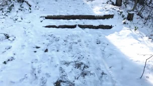 Inspirerande Avslöjande Skott Snöiga Trappor Berget Vintern — Stockvideo